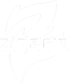 zeeco (1)